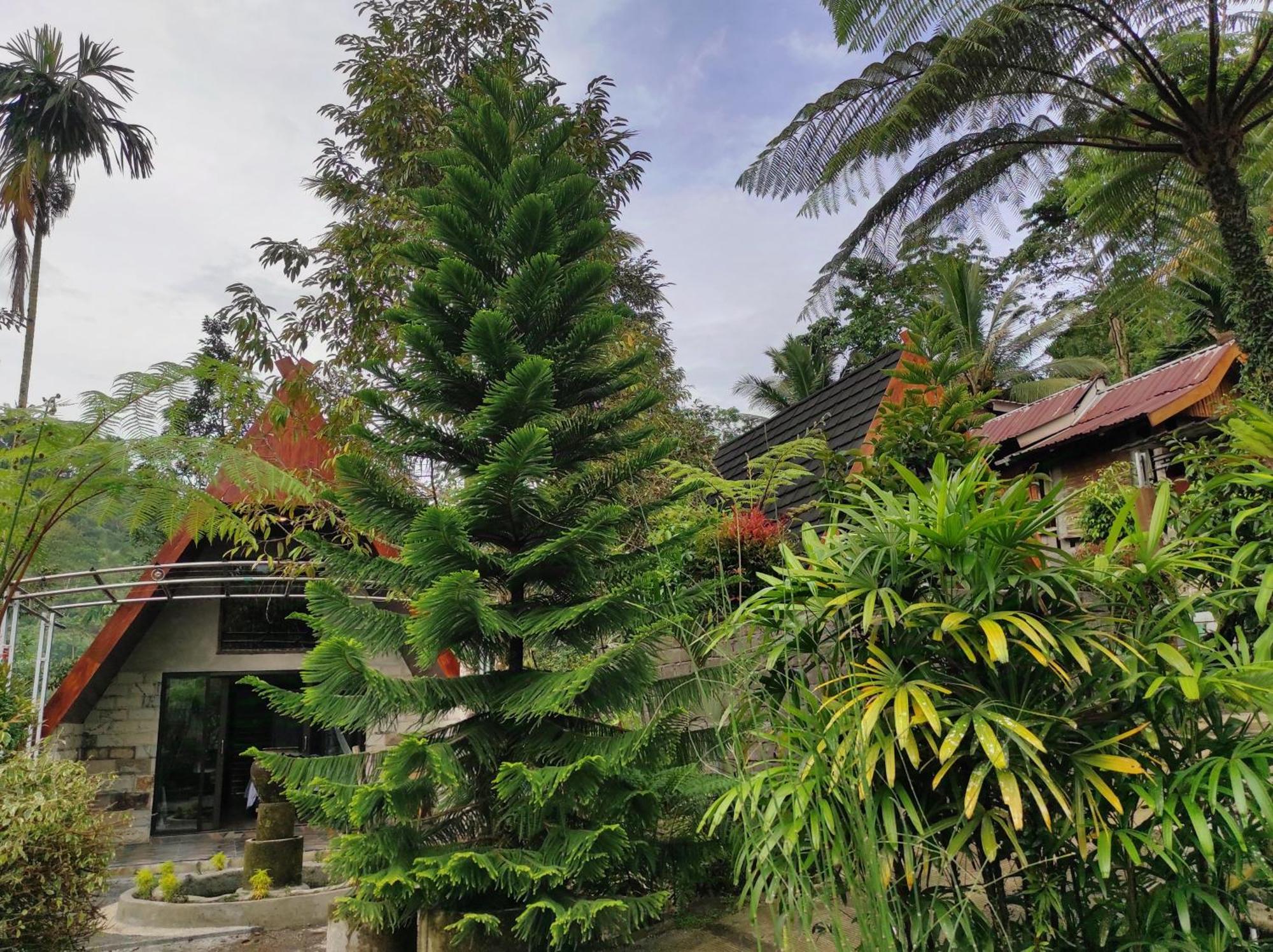 פראיה Goa Walet Cottage מראה חיצוני תמונה