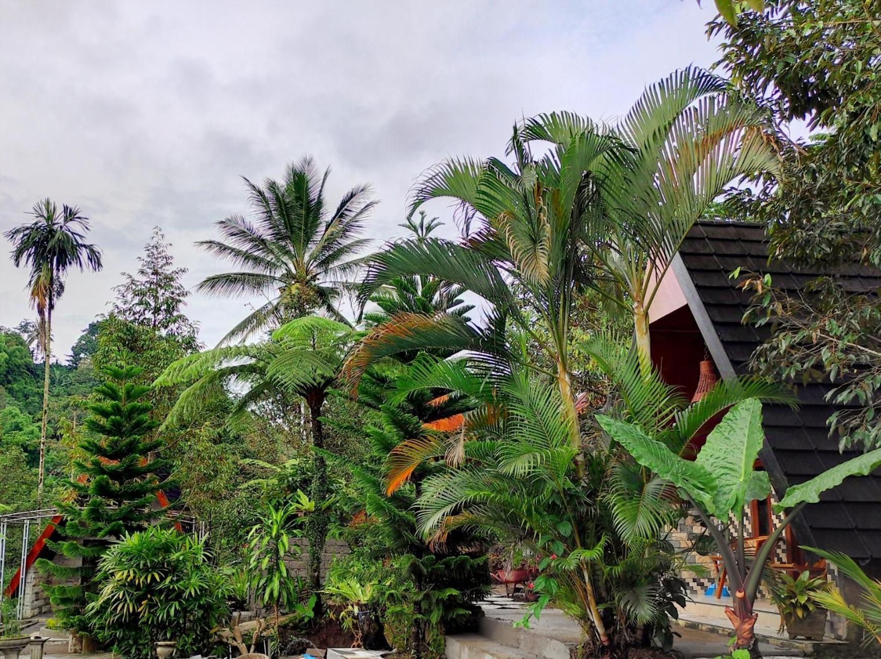 פראיה Goa Walet Cottage מראה חיצוני תמונה